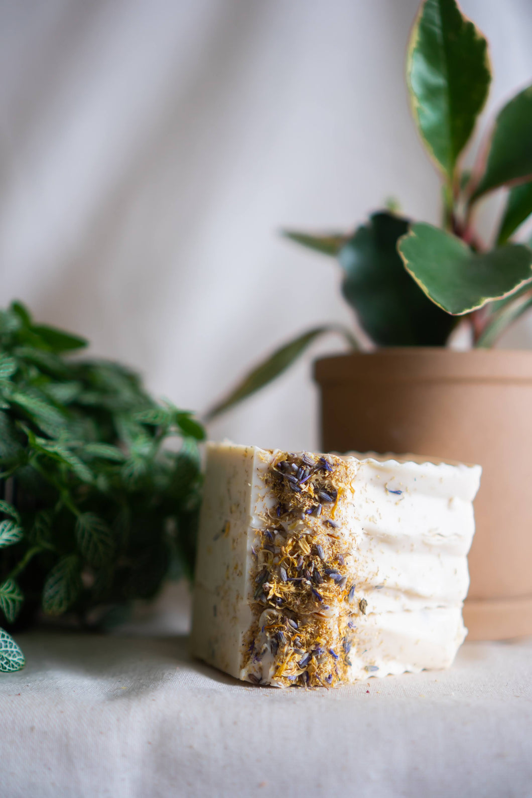 WildFlower Breeze Goat Milk Soap with Tallow - SQUARE